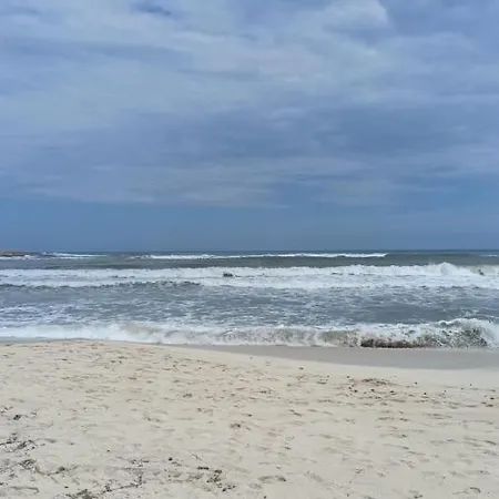 Only 250m From The Locos Lägenhet Torrevieja